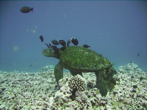 img_0007.jpg