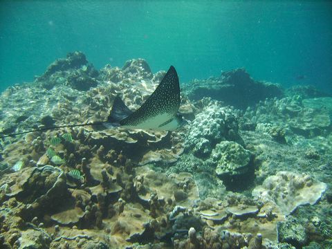 img_0030.jpg