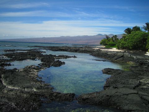 img_6250.jpg