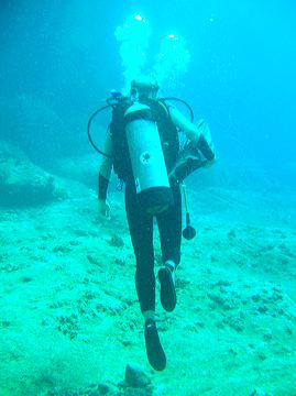 shark220.jpg